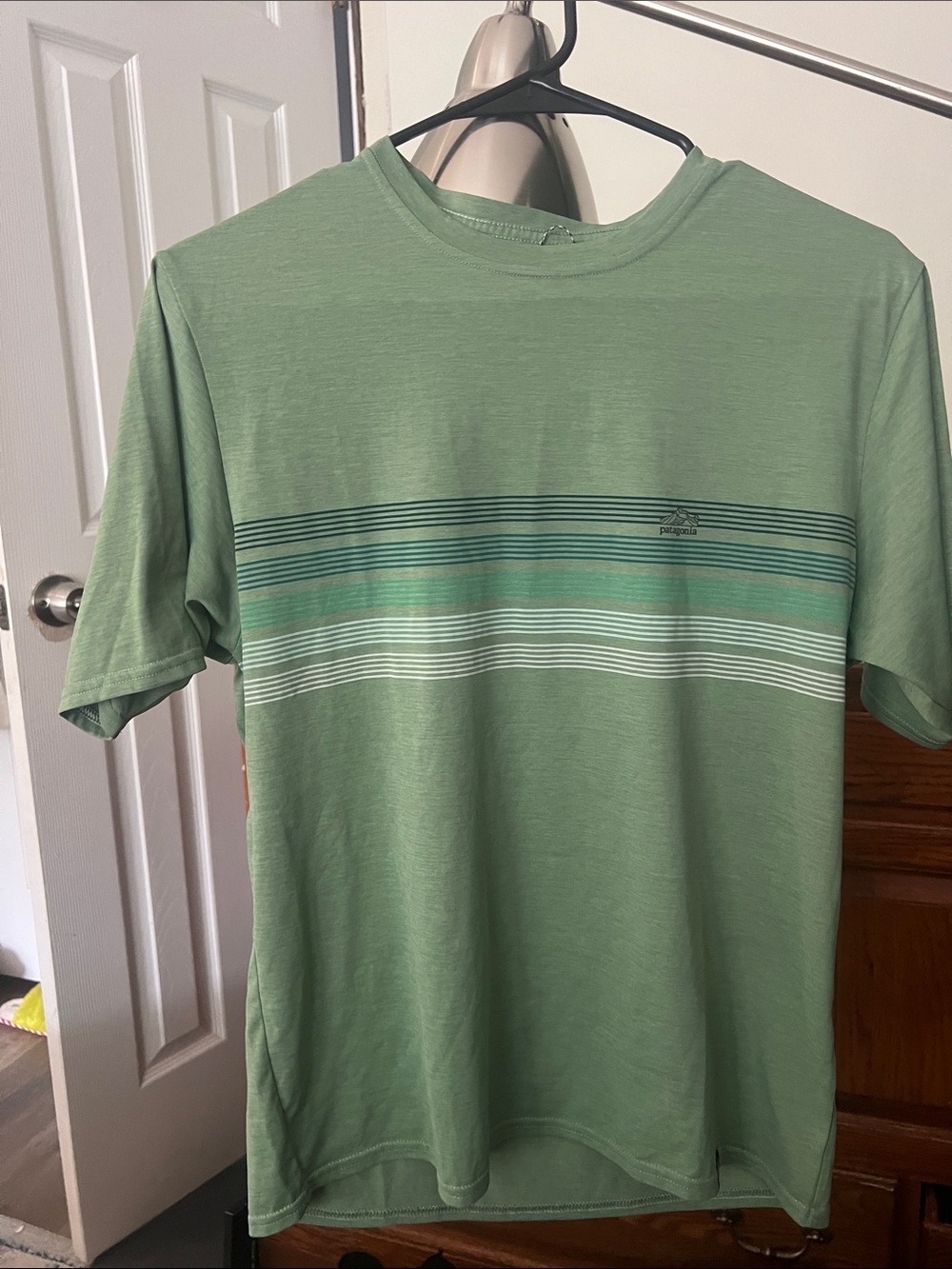 Patagonia Green Short-Sleeve Tee with Horizontal Stripe